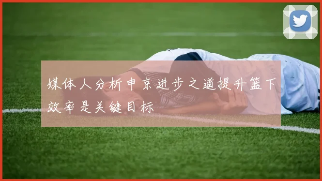 媒体人分析申京进步之道提升篮下效率是关键目标