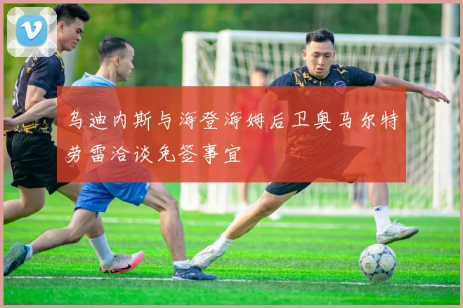 乌迪内斯与海登海姆后卫奥马尔特劳雷洽谈免签事宜