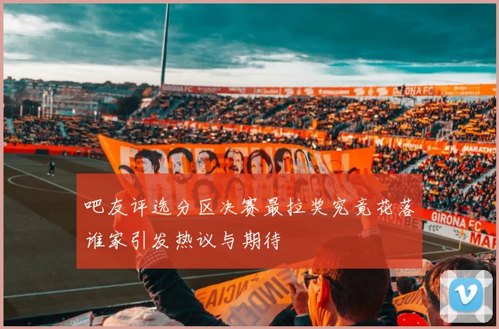 吧友评选分区决赛最拉奖究竟花落谁家引发热议与期待